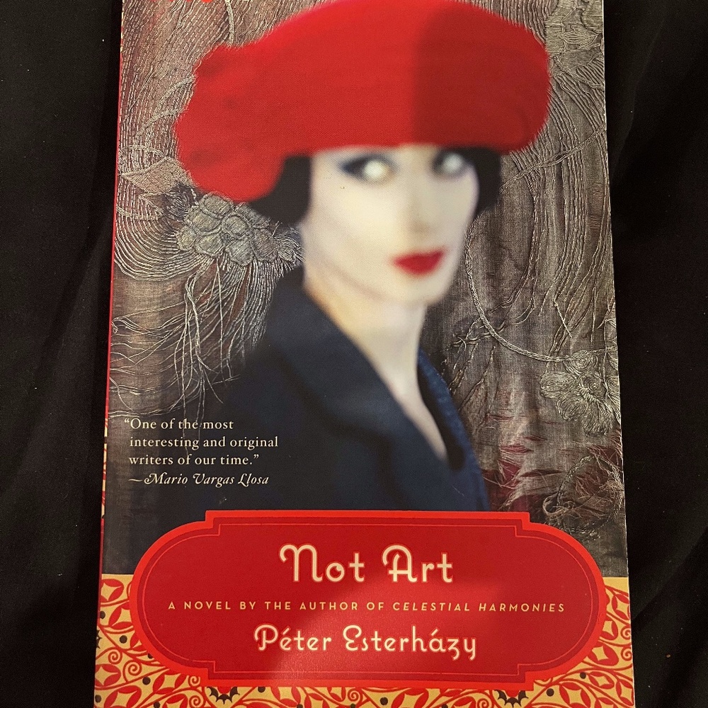 "Not Art" book by Peter Esterházy